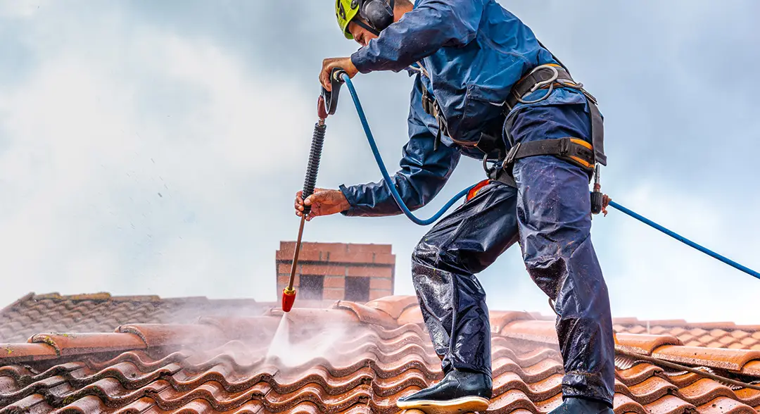 Nettoyage et démoussage